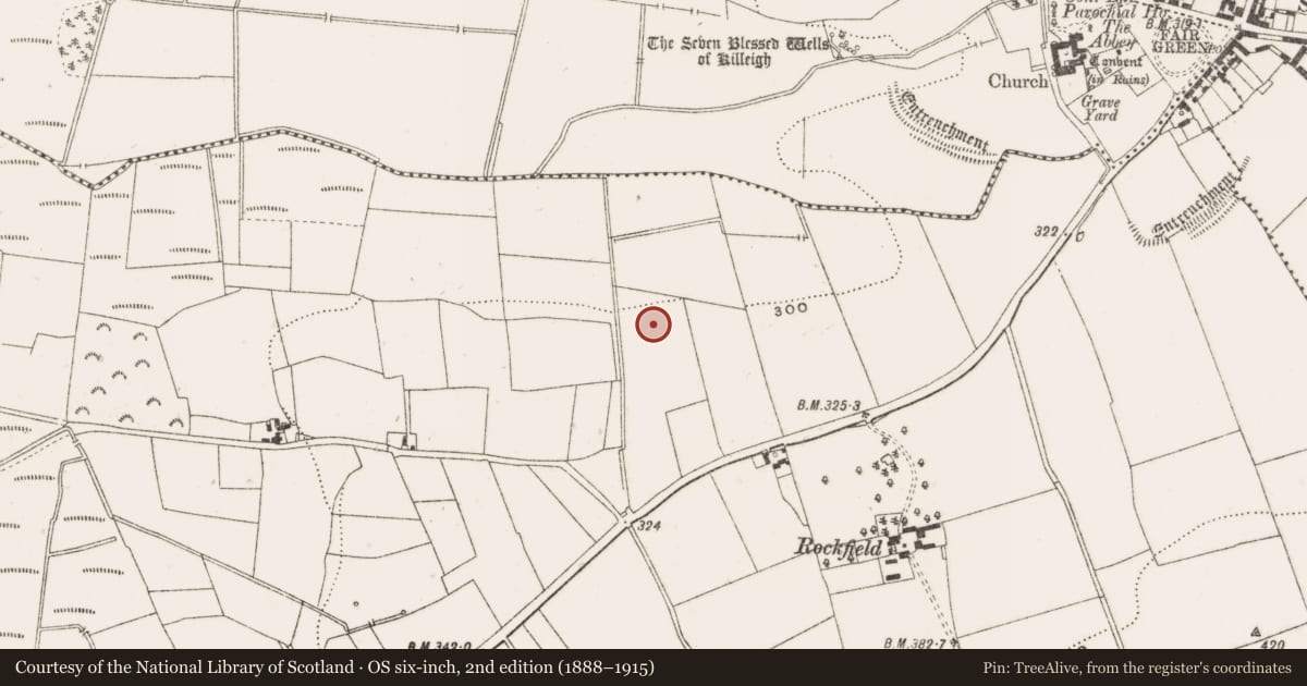 Ordnance Survey six-inch map, 2nd edition (1888–1915) covering the location of Enclosure, Ballinvally, County Offaly, with a pin at the register's coordinates