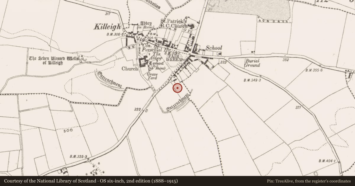 Ordnance Survey six-inch map, 2nd edition (1888–1915) covering the location of Religious house - Augustinian nuns, Ballinvally, County Offaly, with a pin at the register's coordinates