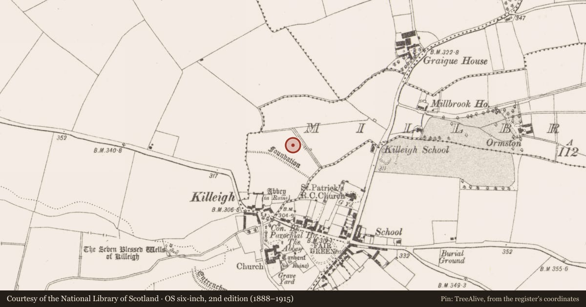 Ordnance Survey six-inch map, 2nd edition (1888–1915) covering the location of Ringfort - rath, Millbrook, County Offaly, with a pin at the register's coordinates