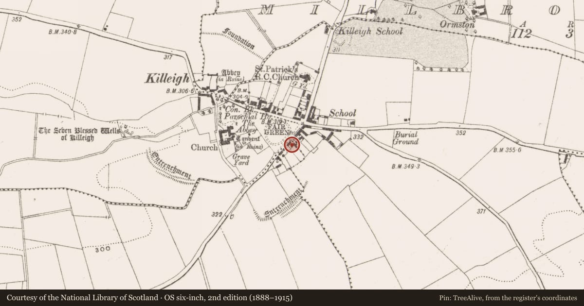 Ordnance Survey six-inch map, 2nd edition (1888–1915) covering the location of Stone head, County Offaly, with a pin at the register's coordinates
