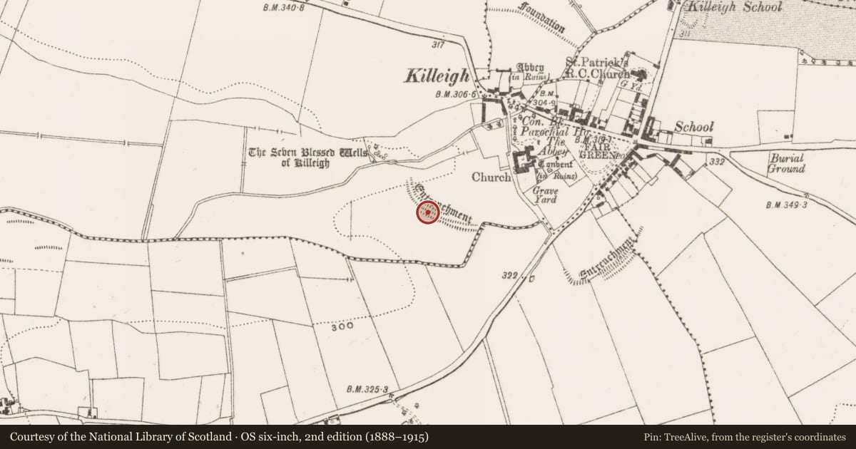 Ordnance Survey six-inch map, 2nd edition (1888–1915) covering the location of Ecclesiastical enclosure, County Offaly, with a pin at the register's coordinates