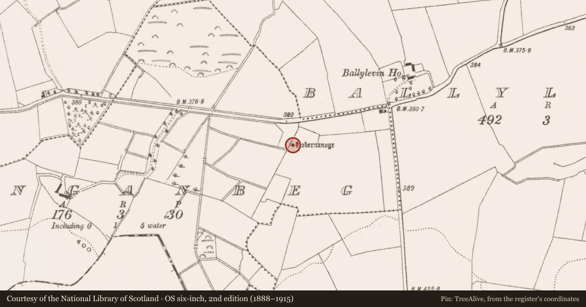 Ordnance Survey six-inch map, 2nd edition (1888–1915) covering the location of Well, Danganbeg, County Offaly, with a pin at the register's coordinates