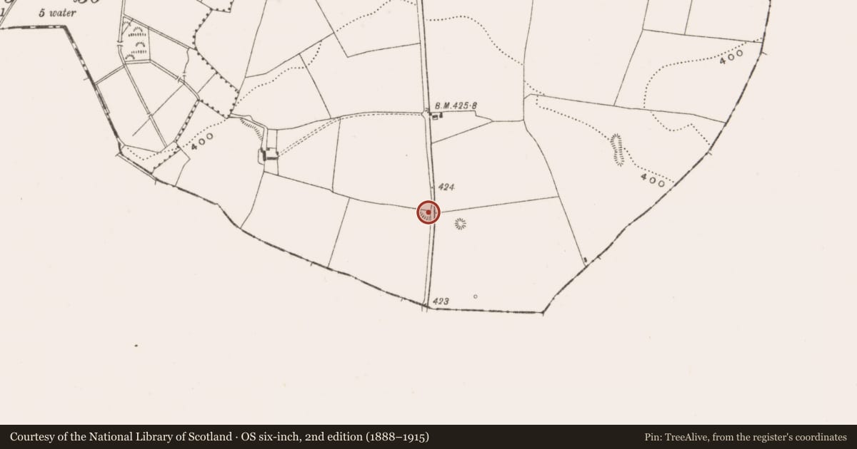 Ordnance Survey six-inch map, 2nd edition (1888–1915) covering the location of Enclosure, Ballylevin, County Offaly, with a pin at the register's coordinates