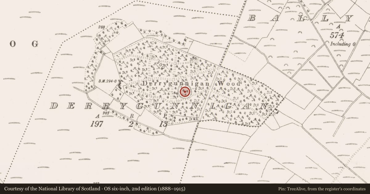 Ordnance Survey six-inch map, 2nd edition (1888–1915) covering the location of Ringfort - rath, Derrygunnigan, County Offaly, with a pin at the register's coordinates