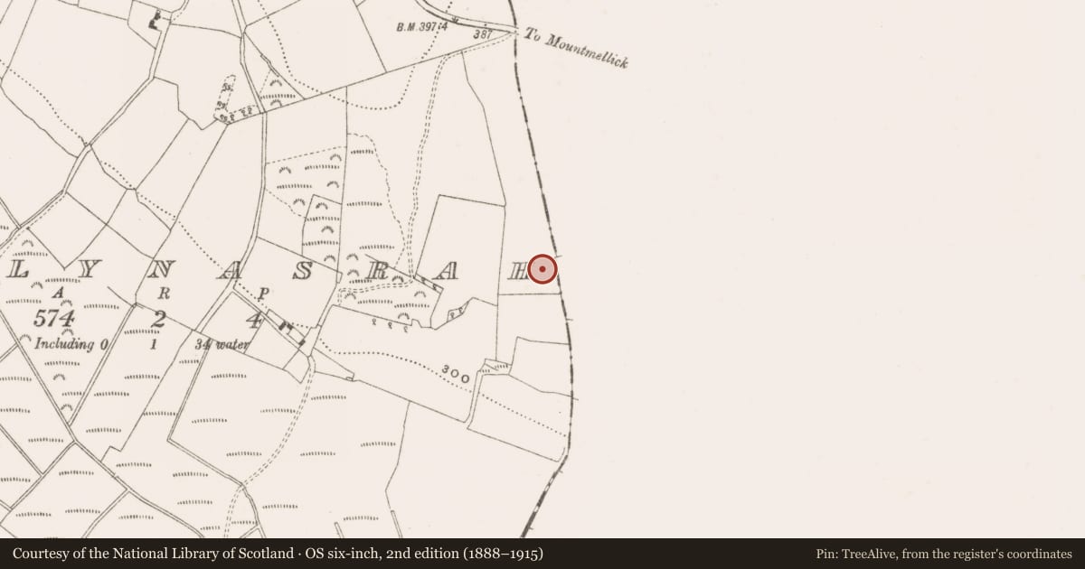 Ordnance Survey six-inch map, 2nd edition (1888–1915) covering the location of Enclosure, Ballynasrah, County Offaly, with a pin at the register's coordinates