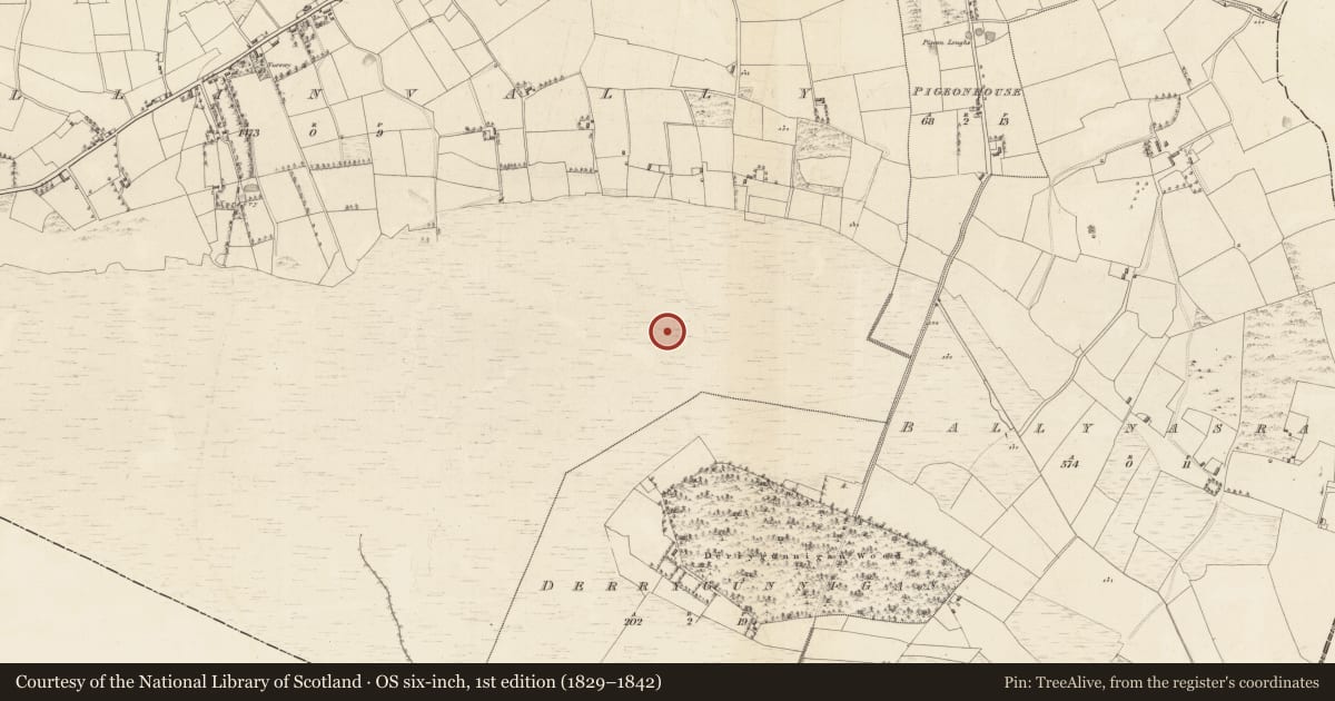 Ordnance Survey six-inch map, 1st edition (1829–1842) covering the location of Road - class 1 togher, Ballinvally, County Offaly, with a pin at the register's coordinates