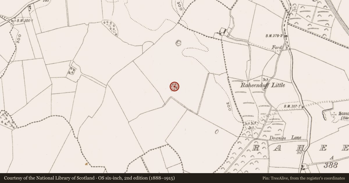 Ordnance Survey six-inch map, 2nd edition (1888–1915) covering the location of Burial ground, Newtown, County Offaly, with a pin at the register's coordinates