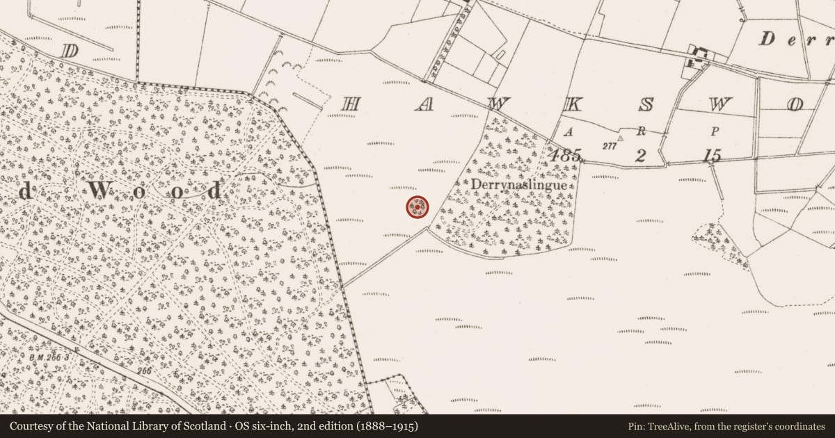 Ordnance Survey six-inch map, 2nd edition (1888–1915) covering the location of Crannog, Hawkswood, County Offaly, with a pin at the register's coordinates