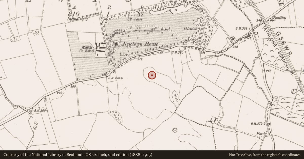 Ordnance Survey six-inch map, 2nd edition (1888–1915) covering the location of Enclosure, Newtown, County Offaly, with a pin at the register's coordinates