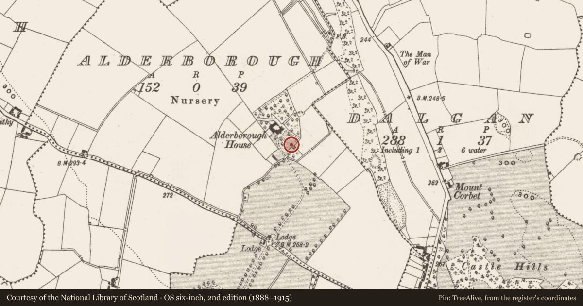 Ordnance Survey six-inch map, 2nd edition (1888–1915) covering the location of Enclosure, Alderborough, County Offaly, with a pin at the register's coordinates
