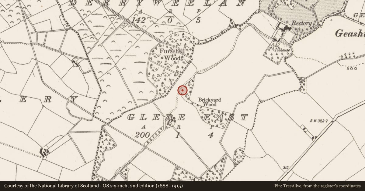Ordnance Survey six-inch map, 2nd edition (1888–1915) covering the location of Enclosure, Glebe East, County Offaly, with a pin at the register's coordinates