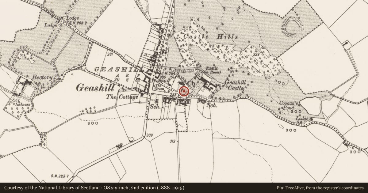 Ordnance Survey six-inch map, 2nd edition (1888–1915) covering the location of Graveslab, Dalgan, County Offaly, with a pin at the register's coordinates