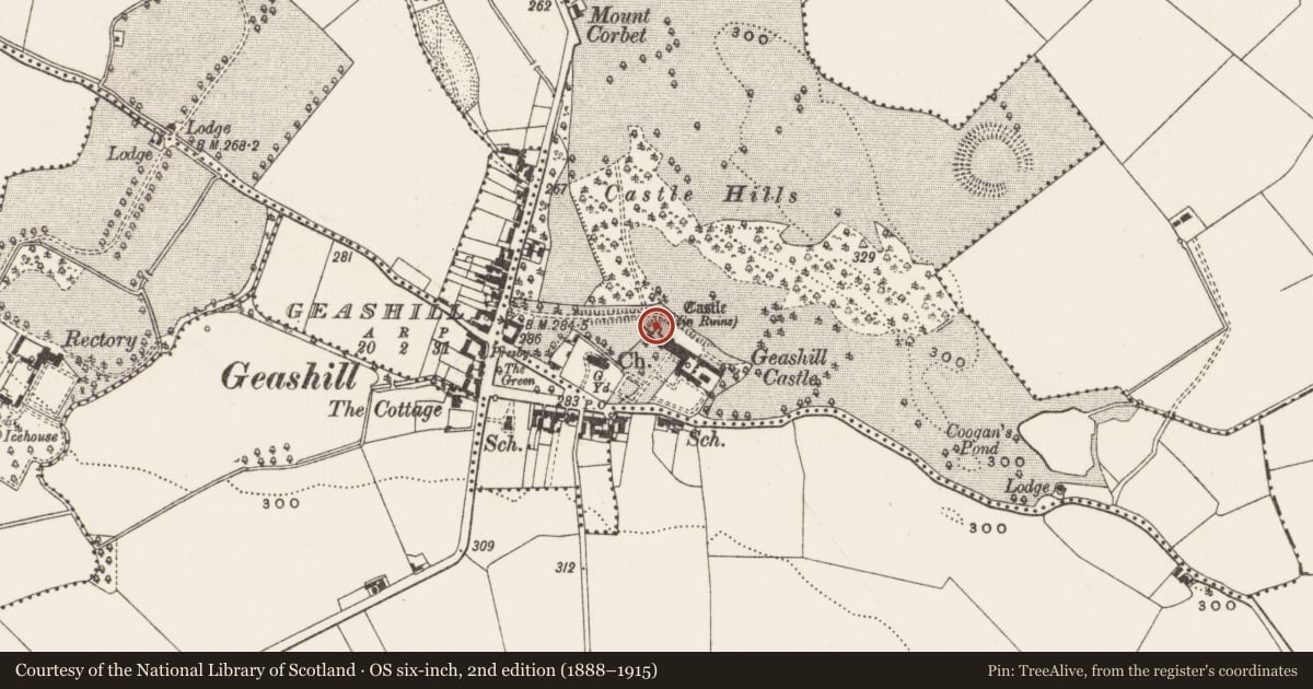 Ordnance Survey six-inch map, 2nd edition (1888–1915) covering the location of Castle - tower house, Dalgan, County Offaly, with a pin at the register's coordinates
