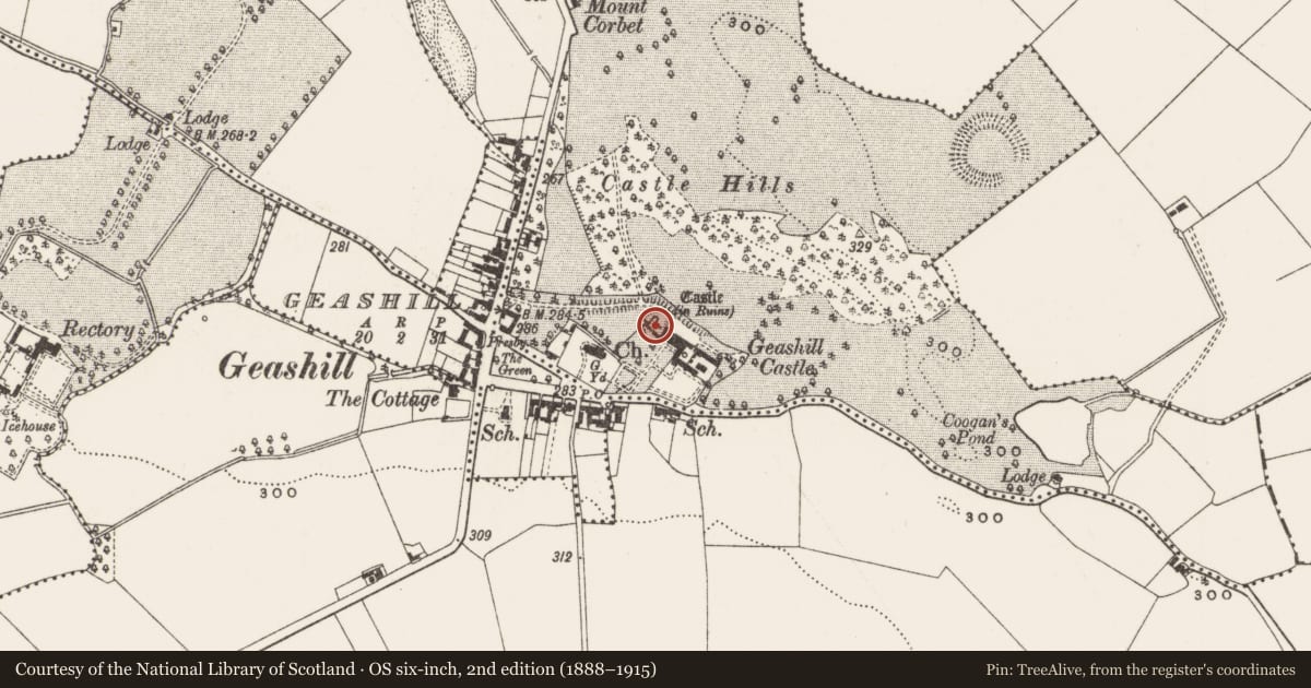 Ordnance Survey six-inch map, 2nd edition (1888–1915) covering the location of Castle - motte, Dalgan, County Offaly, with a pin at the register's coordinates
