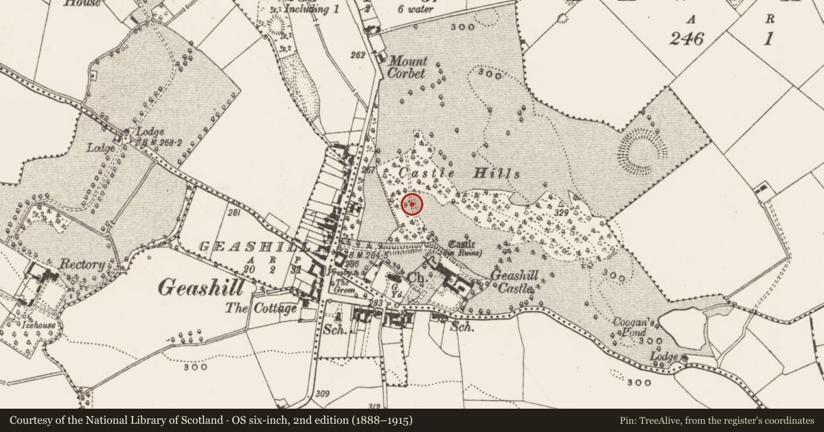 Ordnance Survey six-inch map, 2nd edition (1888–1915) covering the location of Designed landscape - avenue, Dalgan, County Offaly, with a pin at the register's coordinates