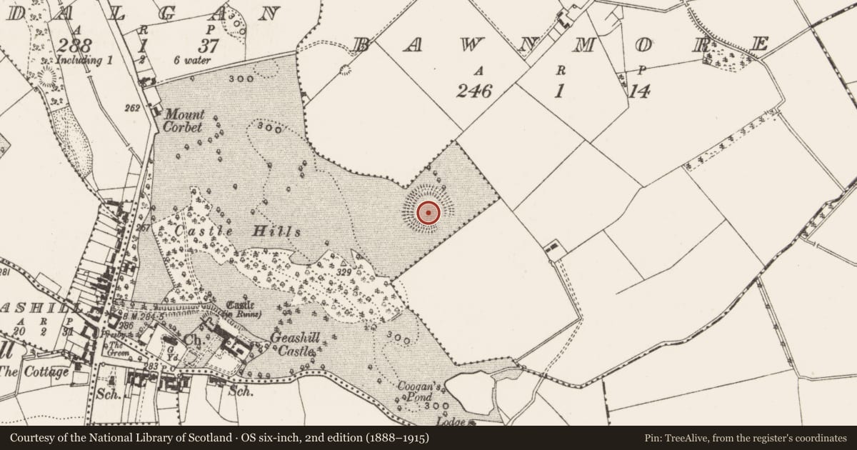 Ordnance Survey six-inch map, 2nd edition (1888–1915) covering the location of Ringfort - unclassified, Dalgan, County Offaly, with a pin at the register's coordinates