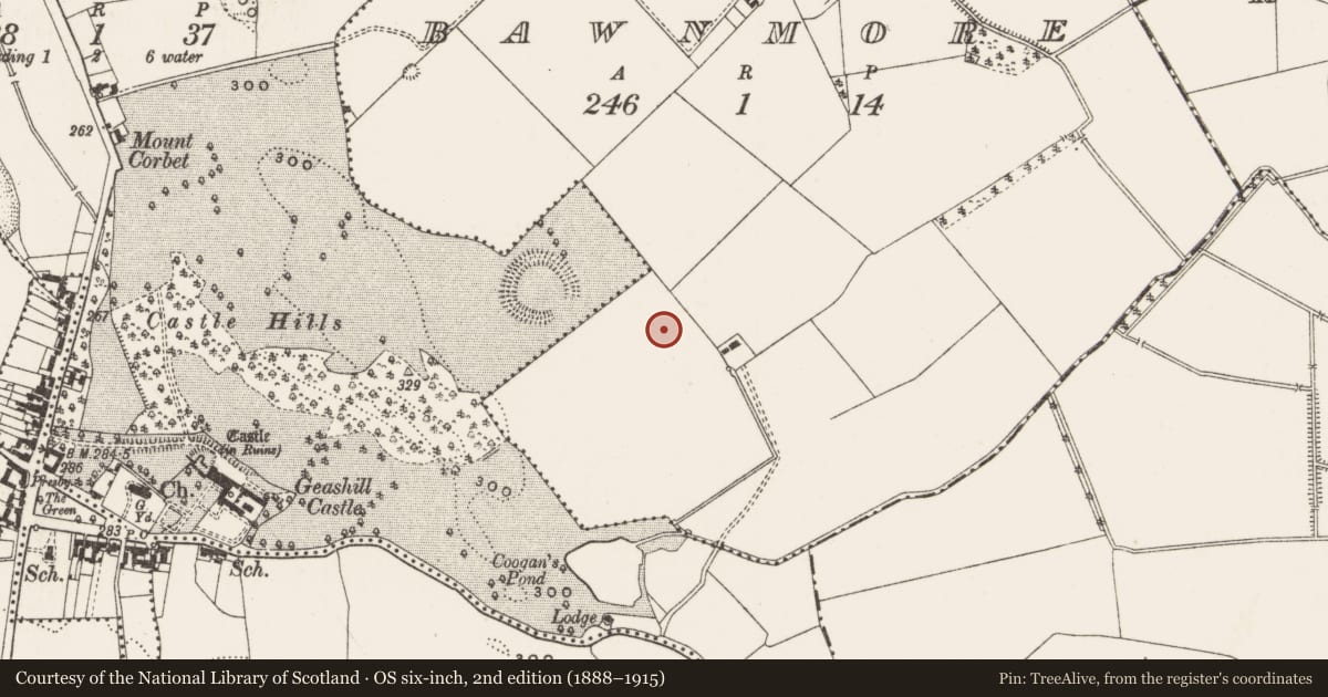 Ordnance Survey six-inch map, 2nd edition (1888–1915) covering the location of Enclosure, Bawnmore, County Offaly, with a pin at the register's coordinates
