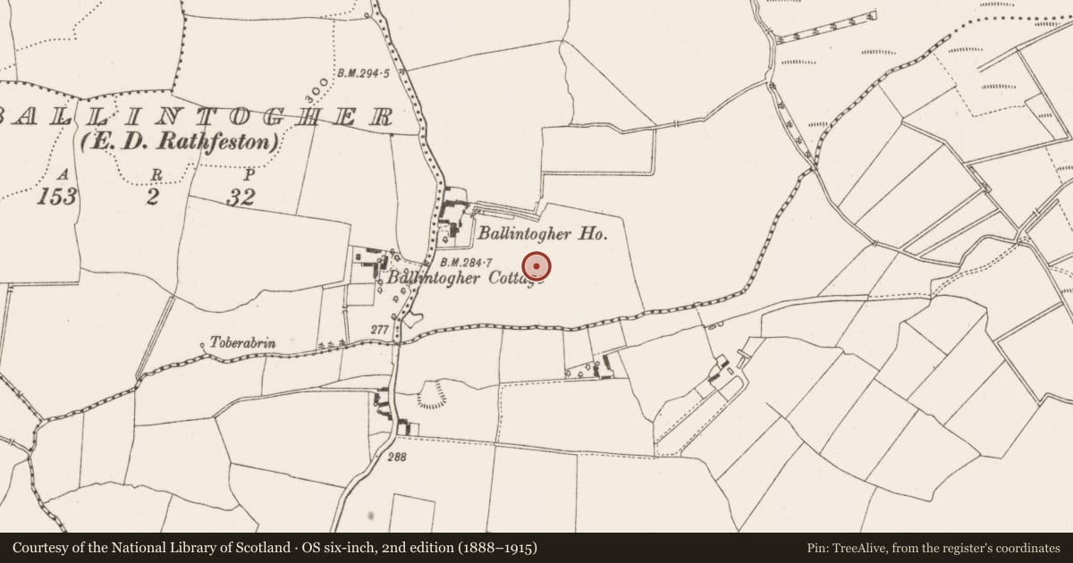 Ordnance Survey six-inch map, 2nd edition (1888–1915) covering the location of Enclosure, Ballintogher, County Offaly, with a pin at the register's coordinates