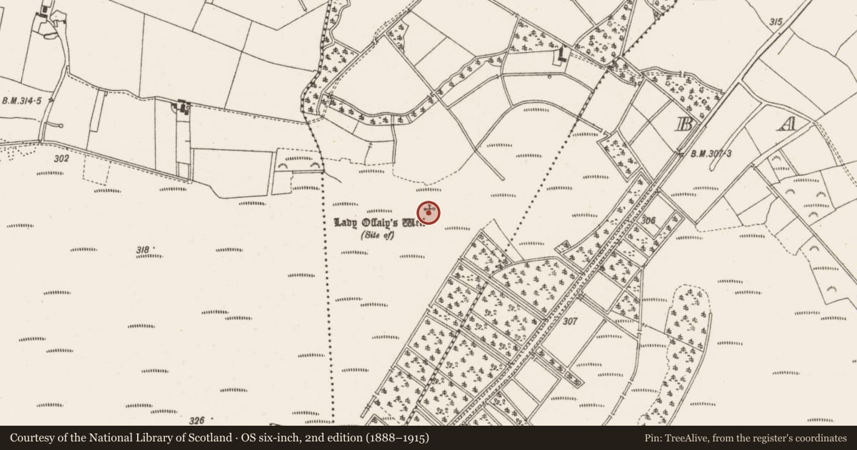 Ordnance Survey six-inch map, 2nd edition (1888–1915) covering the location of Well, Glebe East, County Offaly, with a pin at the register's coordinates