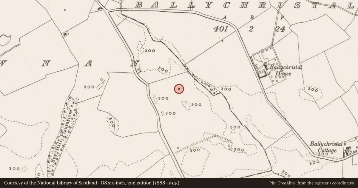 Ordnance Survey six-inch map, 2nd edition (1888–1915) covering the location of Enclosure, Ballydownan, County Offaly, with a pin at the register's coordinates