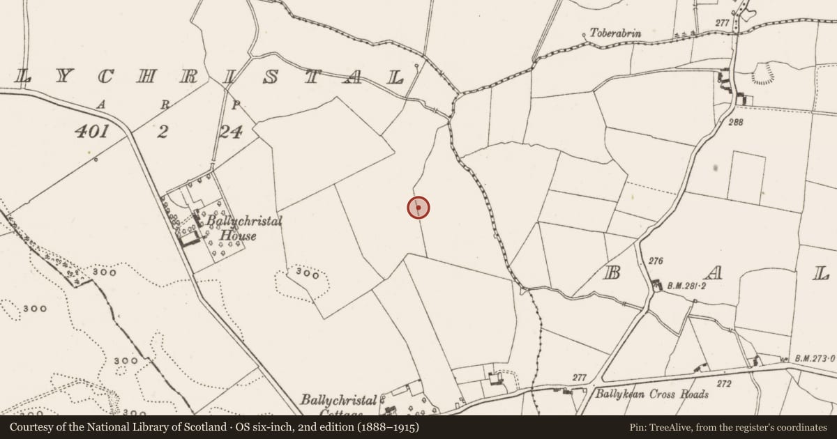 Ordnance Survey six-inch map, 2nd edition (1888–1915) covering the location of Ringfort - unclassified, Ballychristal, County Offaly, with a pin at the register's coordinates