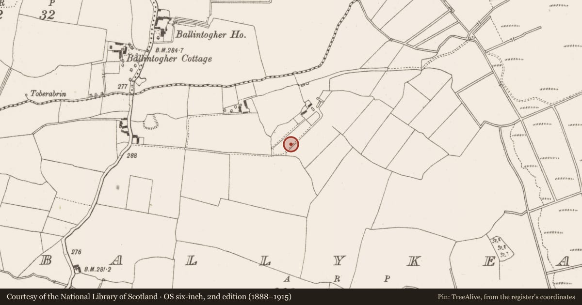 Ordnance Survey six-inch map, 2nd edition (1888–1915) covering the location of Enclosure, Ballykean, County Offaly, with a pin at the register's coordinates