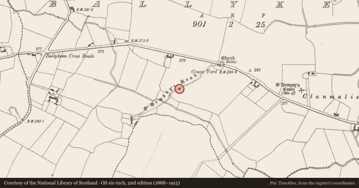 Ordnance Survey six-inch map, 2nd edition (1888–1915) covering the location of Road - unclassified togher, Ballykean, County Offaly, with a pin at the register's coordinates