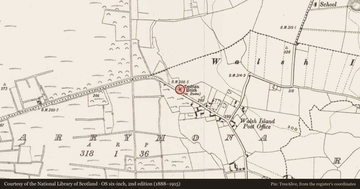 Ordnance Survey six-inch map, 2nd edition (1888–1915) covering the location of Castle - tower house, Garrymona, County Offaly, with a pin at the register's coordinates