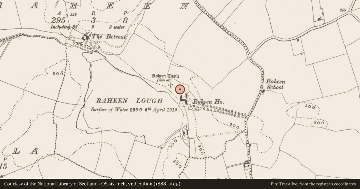 Ordnance Survey six-inch map, 2nd edition (1888–1915) covering the location of Castle - unclassified, Raheen, County Offaly, with a pin at the register's coordinates