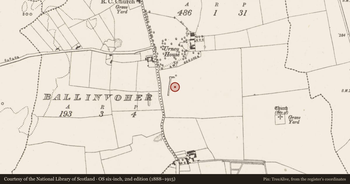 Ordnance Survey six-inch map, 2nd edition (1888–1915) covering the location of Enclosure, Urney, County Offaly, with a pin at the register's coordinates