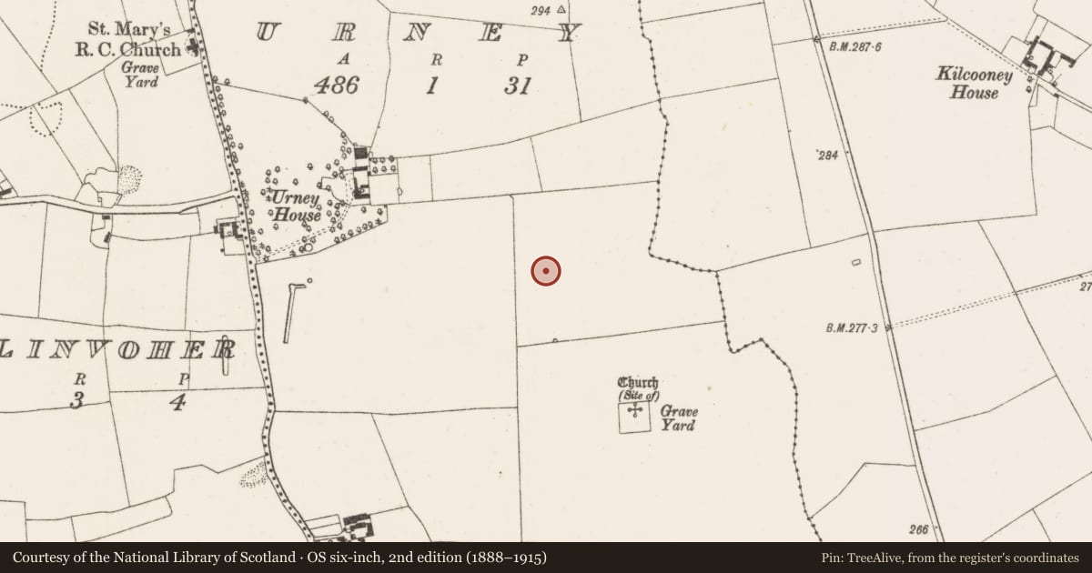 Ordnance Survey six-inch map, 2nd edition (1888–1915) covering the location of Enclosure, Urney, County Offaly, with a pin at the register's coordinates