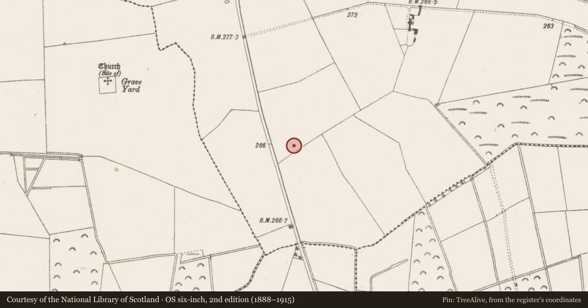 Ordnance Survey six-inch map, 2nd edition (1888–1915) covering the location of Designed landscape feature, Kilcooney, County Offaly, with a pin at the register's coordinates