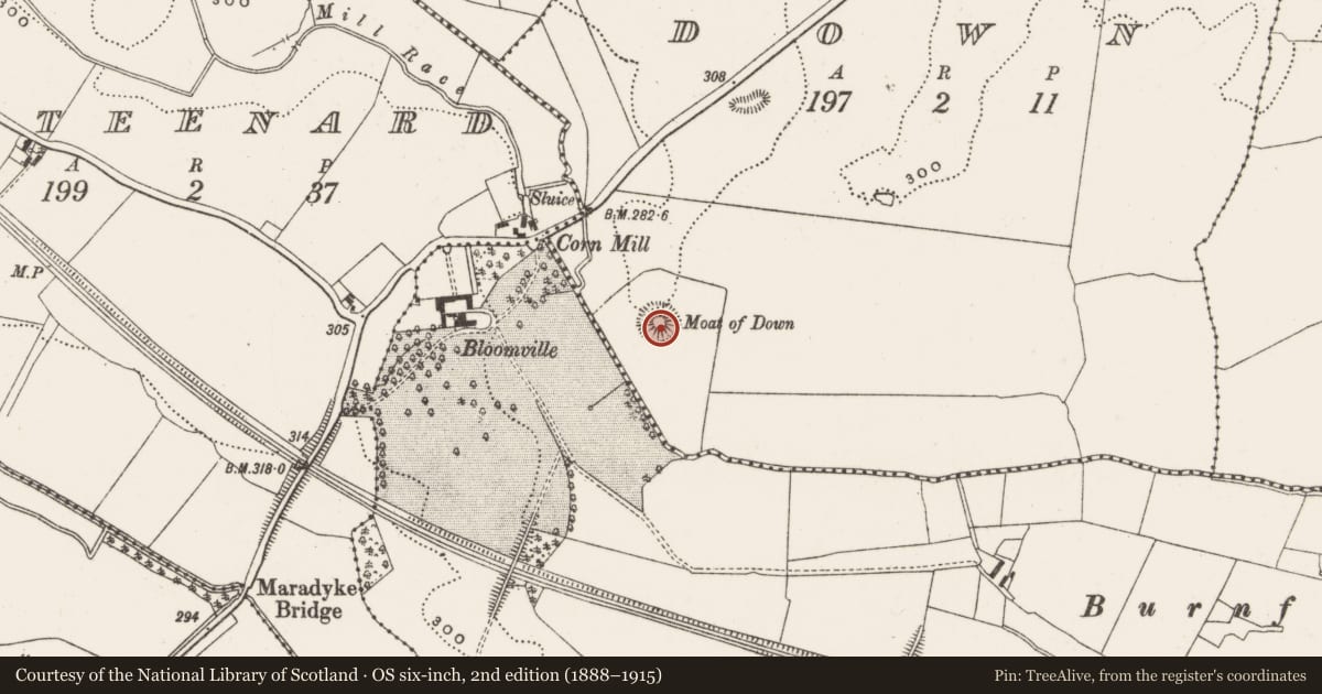 Ordnance Survey six-inch map, 2nd edition (1888–1915) covering the location of Castle - motte and bailey, Down, County Offaly, with a pin at the register's coordinates