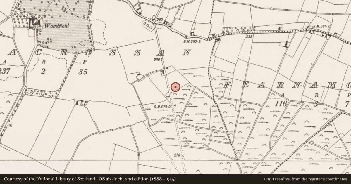 Ordnance Survey six-inch map, 2nd edition (1888–1915) covering the location of Enclosure, Ballymacrossan, County Offaly, with a pin at the register's coordinates
