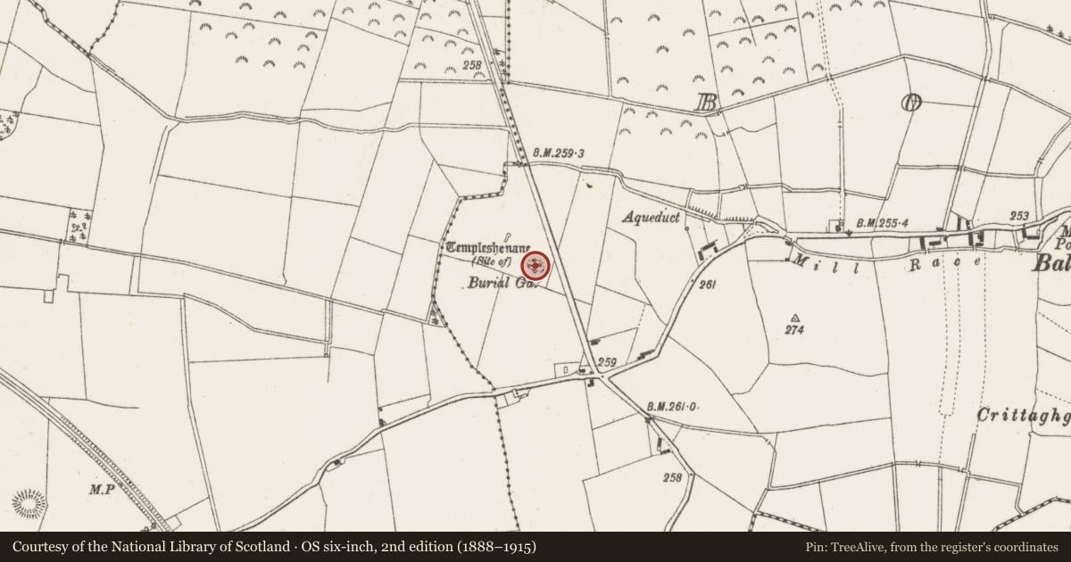 Ordnance Survey six-inch map, 2nd edition (1888–1915) covering the location of Church, Bogtown, County Offaly, with a pin at the register's coordinates