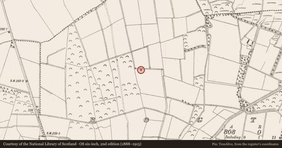Ordnance Survey six-inch map, 2nd edition (1888–1915) covering the location of Enclosure, Bogtown, County Offaly, with a pin at the register's coordinates
