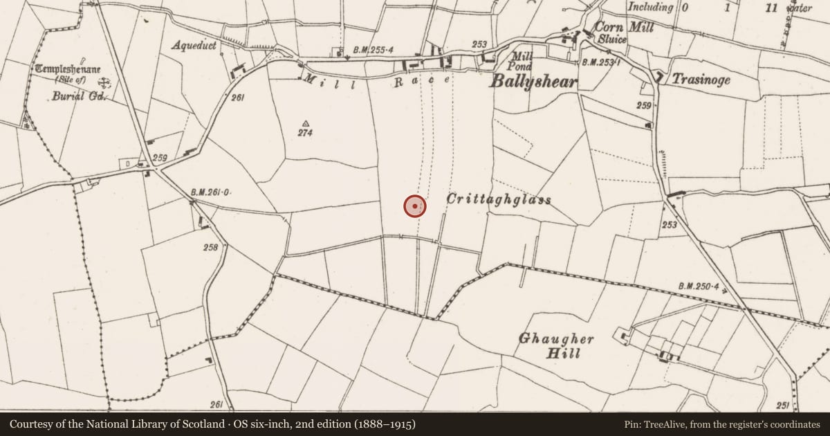 Ordnance Survey six-inch map, 2nd edition (1888–1915) covering the location of Enclosure, Bogtown, County Offaly, with a pin at the register's coordinates