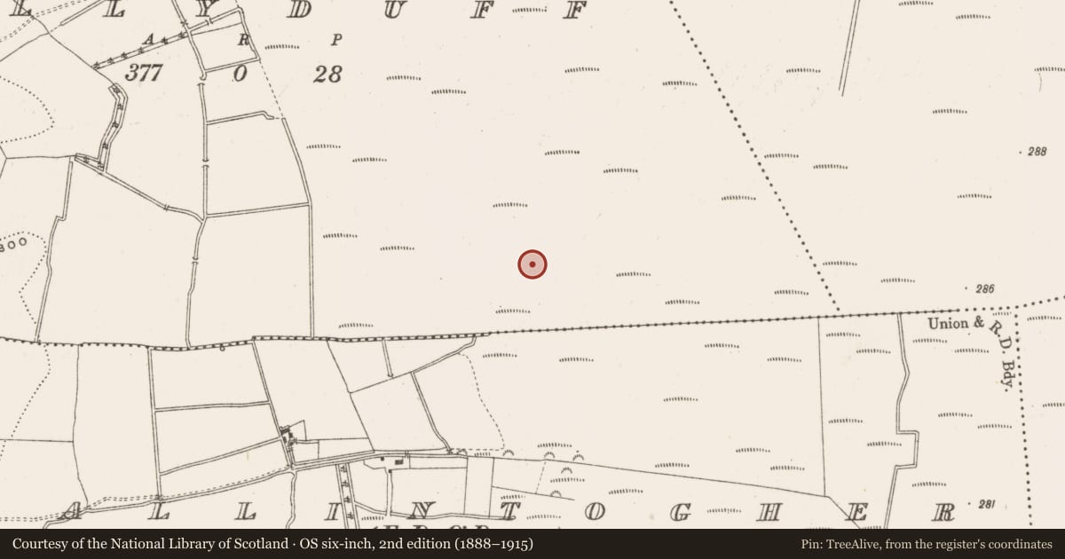 Ordnance Survey six-inch map, 2nd edition (1888–1915) covering the location of Road - class 3 togher, Ballyduff, County Offaly, with a pin at the register's coordinates