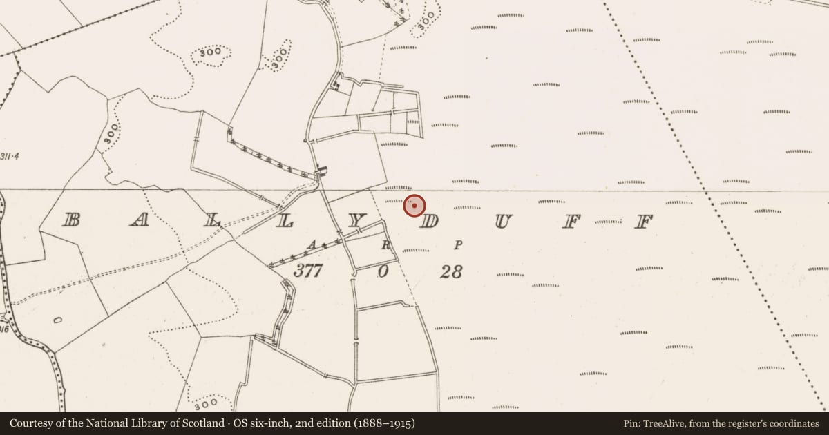 Ordnance Survey six-inch map, 2nd edition (1888–1915) covering the location of Structure - peatland, Ballyduff, County Offaly, with a pin at the register's coordinates
