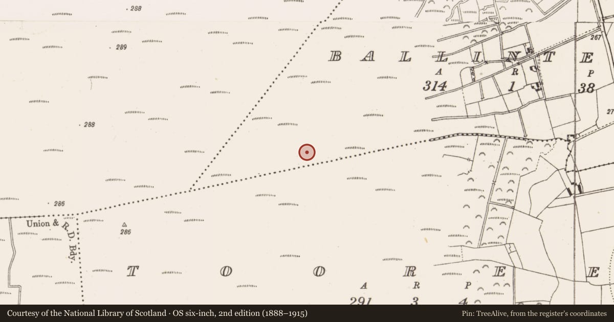 Ordnance Survey six-inch map, 2nd edition (1888–1915) covering the location of Structure - peatland, Ballintemple, County Offaly, with a pin at the register's coordinates