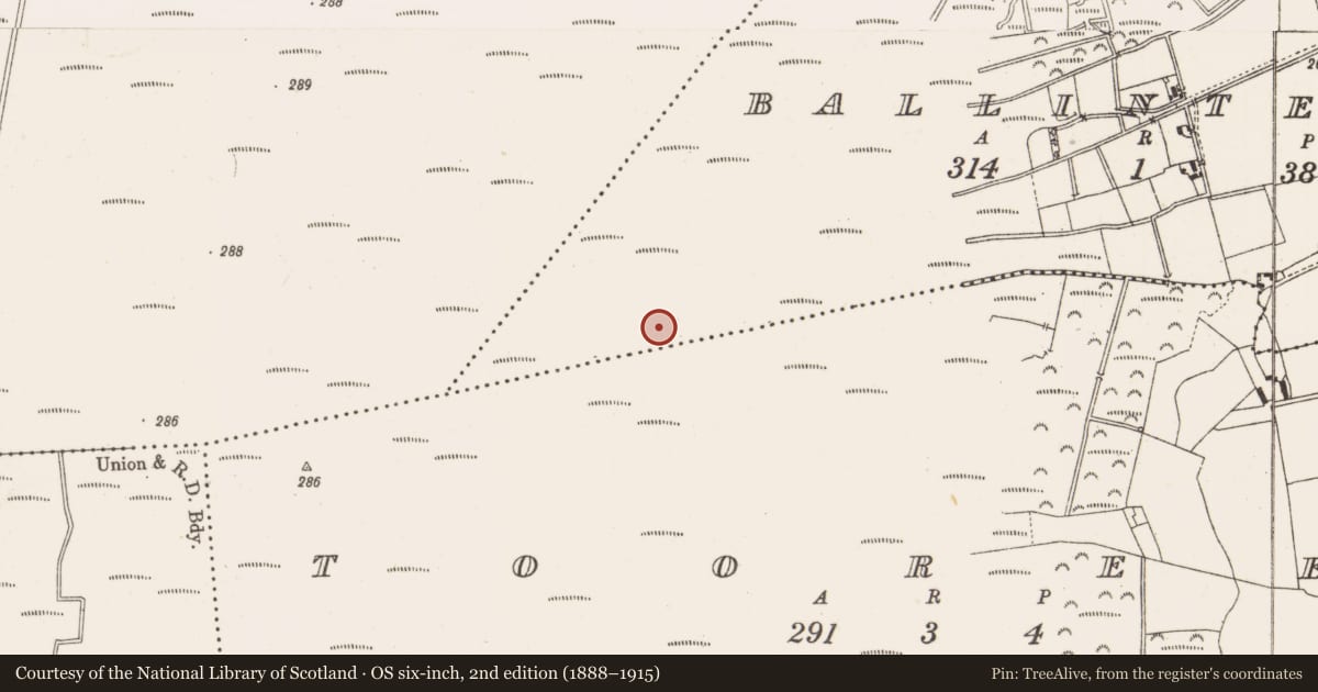 Ordnance Survey six-inch map, 2nd edition (1888–1915) covering the location of Structure - peatland, Ballintemple, County Offaly, with a pin at the register's coordinates