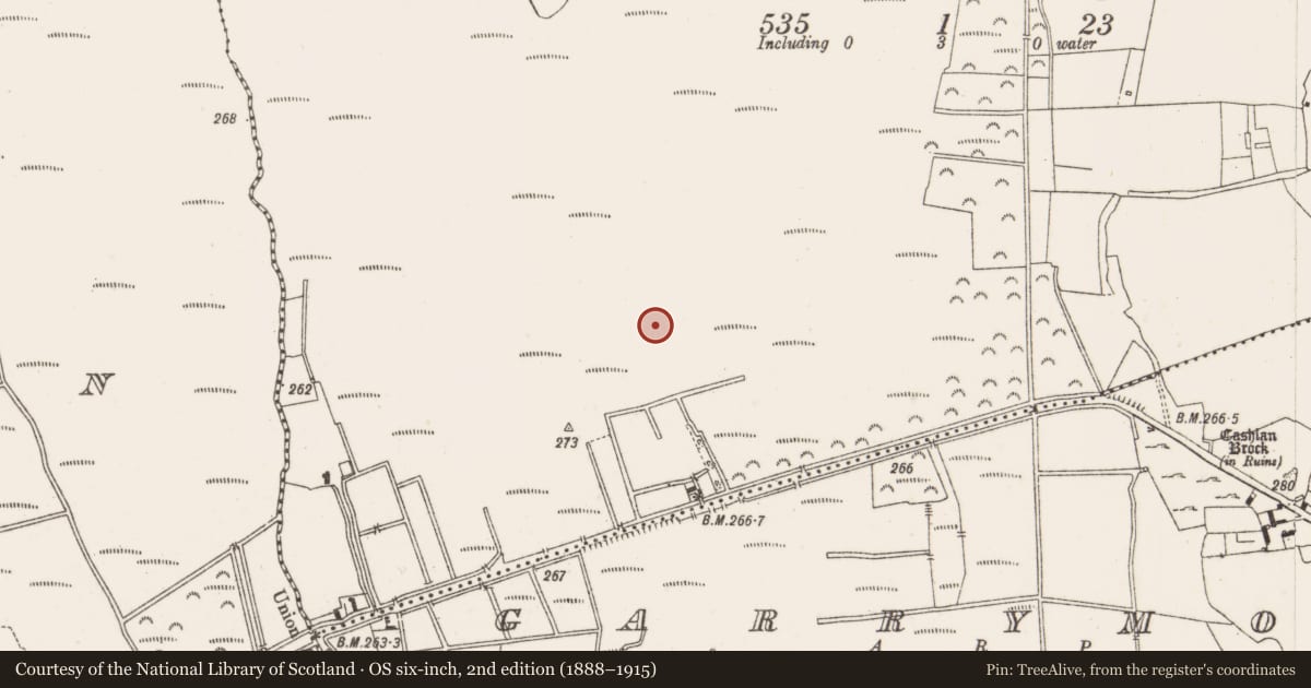 Ordnance Survey six-inch map, 2nd edition (1888–1915) covering the location of Road - class 1 togher, Kilbeg, County Offaly, with a pin at the register's coordinates