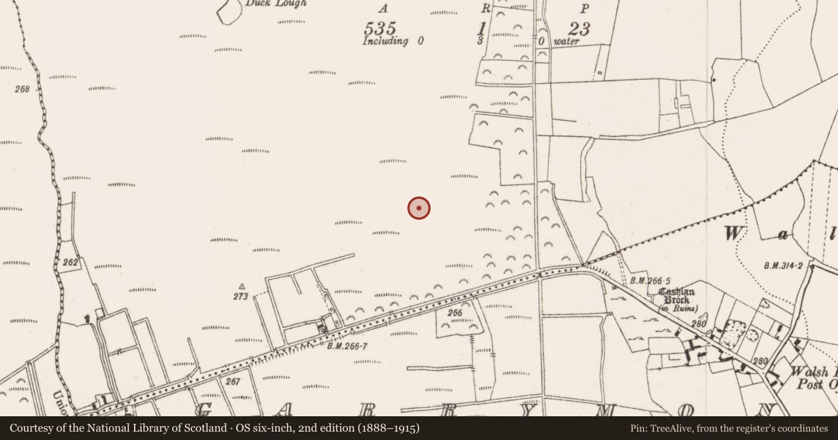 Ordnance Survey six-inch map, 2nd edition (1888–1915) covering the location of Road - class 2 togher, Kilbeg, County Offaly, with a pin at the register's coordinates