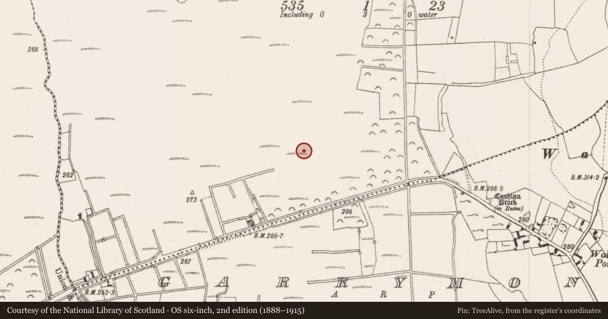 Ordnance Survey six-inch map, 2nd edition (1888–1915) covering the location of Road - class 1 togher, Kilbeg, County Offaly, with a pin at the register's coordinates