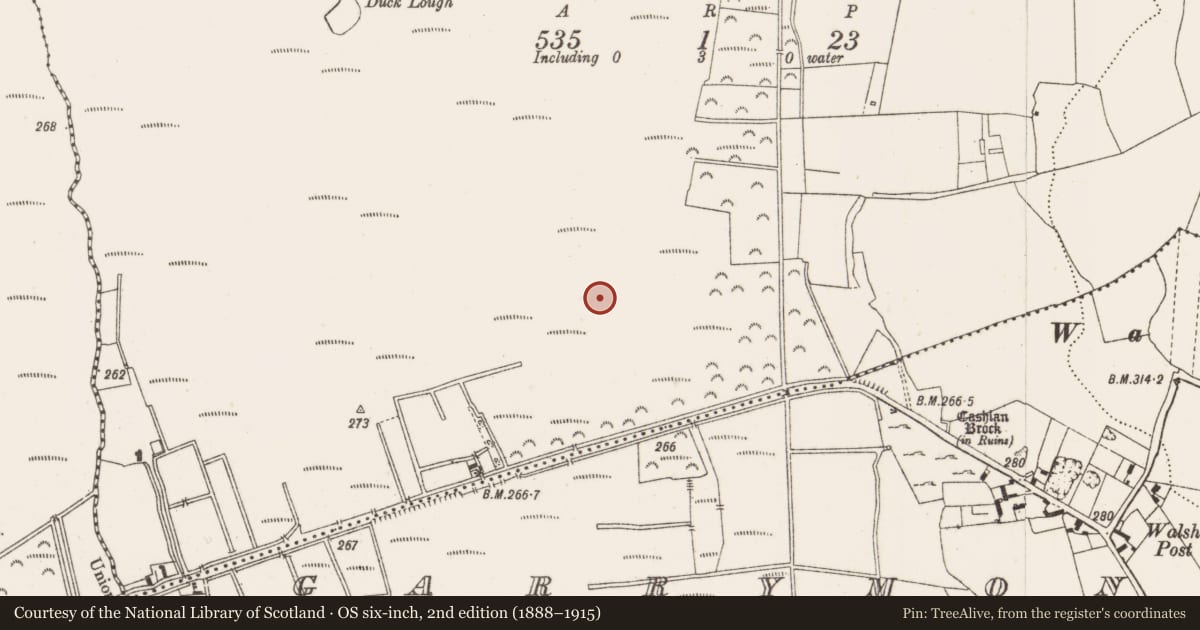 Ordnance Survey six-inch map, 2nd edition (1888–1915) covering the location of Post row - peatland, Kilbeg, County Offaly, with a pin at the register's coordinates