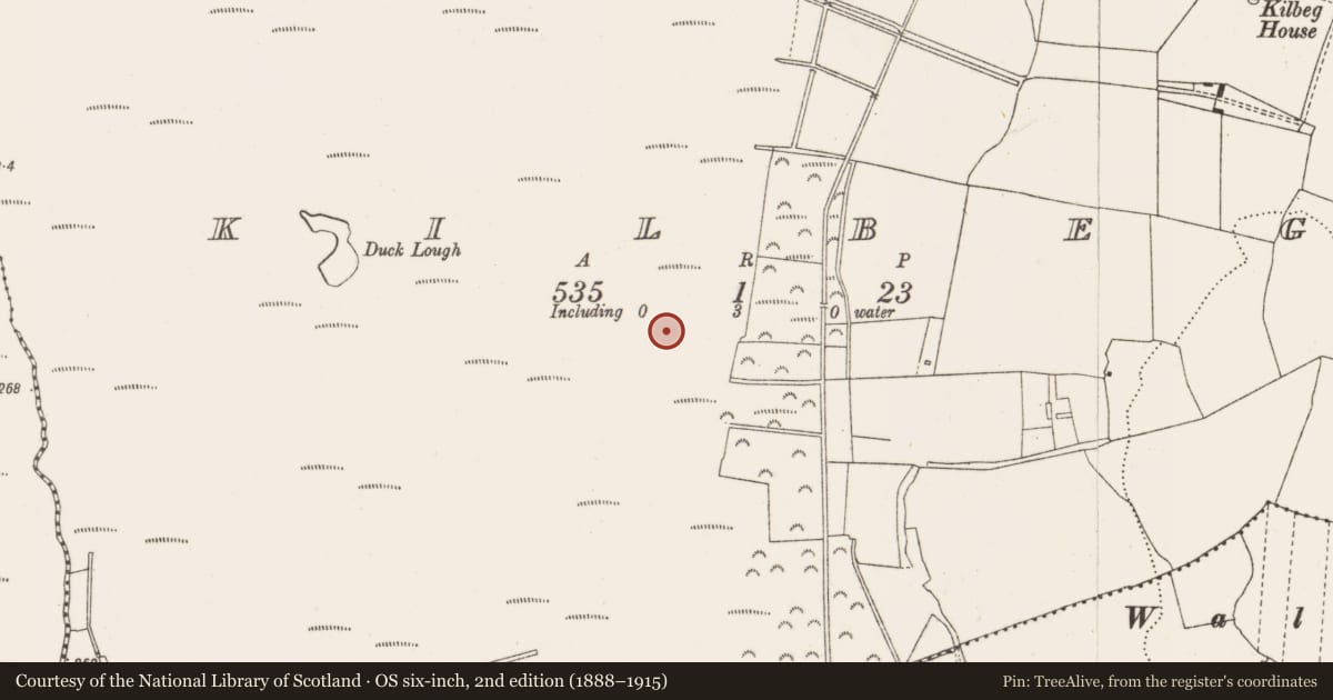 Ordnance Survey six-inch map, 2nd edition (1888–1915) covering the location of Structure - peatland, Kilbeg, County Offaly, with a pin at the register's coordinates