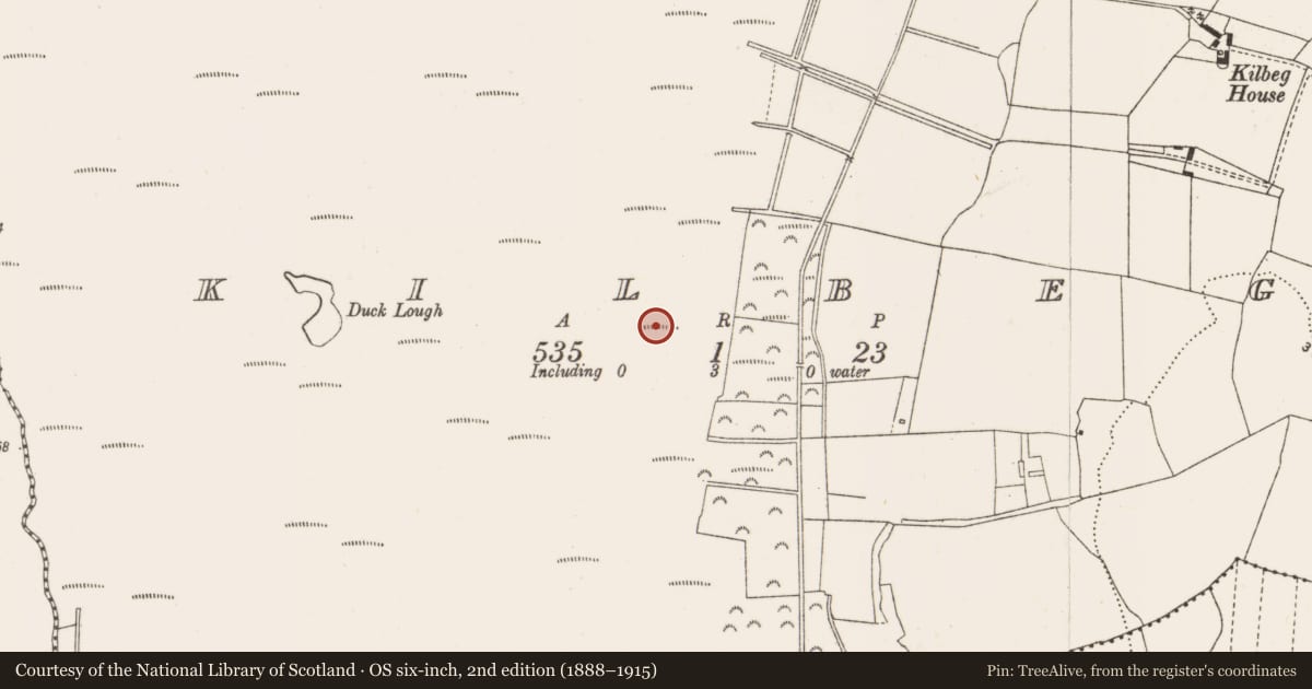 Ordnance Survey six-inch map, 2nd edition (1888–1915) covering the location of Structure - peatland, Kilbeg, County Offaly, with a pin at the register's coordinates