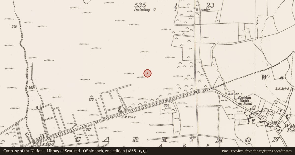 Ordnance Survey six-inch map, 2nd edition (1888–1915) covering the location of Structure - peatland, Kilbeg, County Offaly, with a pin at the register's coordinates