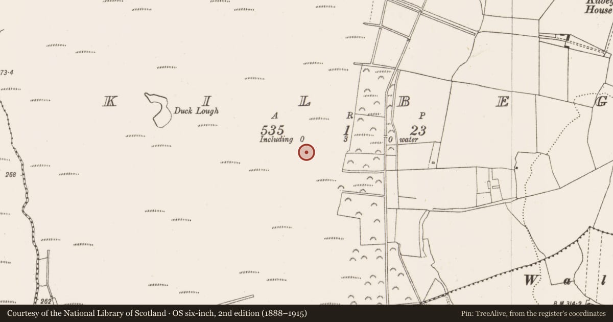 Ordnance Survey six-inch map, 2nd edition (1888–1915) covering the location of Structure - peatland, Kilbeg, County Offaly, with a pin at the register's coordinates