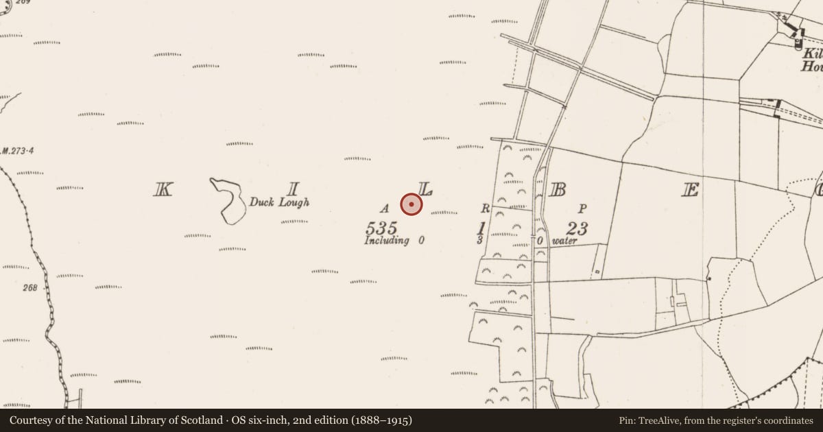 Ordnance Survey six-inch map, 2nd edition (1888–1915) covering the location of Road - class 2 togher, Kilbeg, County Offaly, with a pin at the register's coordinates